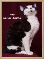 Marek & Darek Képkeret, 30X40, fa, natúr szín, plexiüveg (3225899683067)