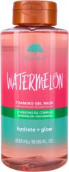 Tree Hut Ingrijire Corp Foaming Gel Wash Watermelon Dus 532 ml