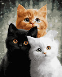 Oh Art! Set pictura pe numere, cu sasiu, Trio blanos, 40x50 cm (ANG1031)