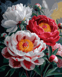 Oh Art! Set pictura pe numere, cu sasiu, Bujori infloriti, 40x50 cm (ANG1017)
