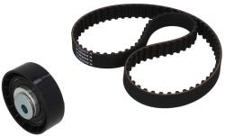 KAMOKA Set curea de distributie KAMOKA 7001029 (7001029)