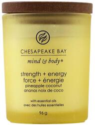 Chesapeake Bay Strength & Energy 96 g