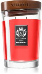 Vellutier Rendezvous 515 g