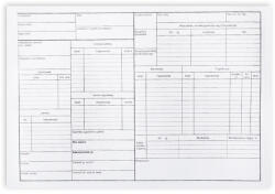 Bluering Személyi nyilvántartó tasak 320x220 mm B. VALL. 11 (B.VALL.11) - polusirodaszer