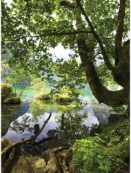 DEGRETS Fotótapéta DEGRETS 83350 Tó az erdőben 254x184cm (83350)