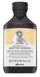 Davines Natural Tech Purifying Shampoo sampon de curatare anti mătreată 250 ml