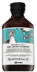 Davines Natural Tech Well-Being Shampoo 250 ml