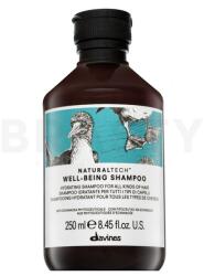 Davines Natural Tech Well-Being Shampoo 250 ml