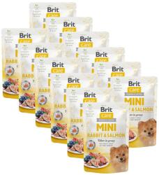 Brit Brit Care MINI Rabbit & Salmon 12 x 85 g
