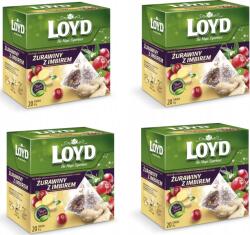 LOYD Tea Gyömbér-Vörösáfonya 20x2g (3102969) (3102969)