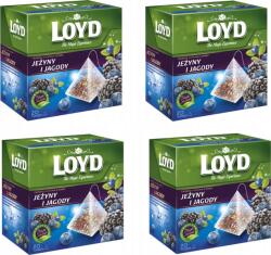 LOYD Tea Szeder-Áfonya 20x2g (3102335) (3102335)