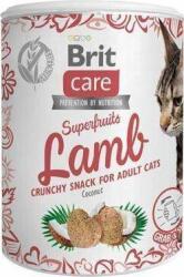 Brit Snack Care Cat GF Jutalomfalat Superfruits Lamb 100 g Ropogós Bárány-Kókusz 103100651 (104167) (104167)