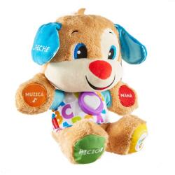 Mattel Catelusul Vorbitor FisherPrice FPN99, Jucarie interactiva 6 luni +, Smart Stages (MTFPN99)