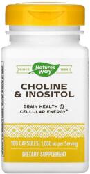 Natures's Way Nature's Way Colină și inozitol 250 mg - 100 capsule