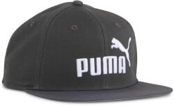 PUMA ESS No. 1 LOGO FLOM BIM PET ZWART X szürke