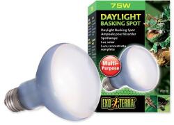Hagen Exo Terra EXOTERRA DAYLIGHT BASKING SPOT izzó 75W