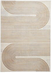 Think Rugs Világosszürke-aranyszínű szőnyeg 80x150 cm Apollo - Think Rugs