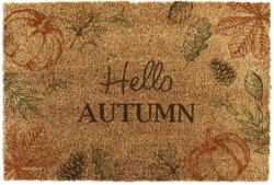 Artsy Mats Kókuszrost lábtörlő 40x60 cm Hello Autumn - Artsy Doormats