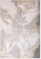 Asiatic Carpets Bézs szőnyeg 120x170 cm Aurora Echt - Asiatic Carpets