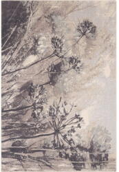 Agnella Szürke-krémszínű gyapjú szőnyeg 200x300 cm Lissey - Agnella
