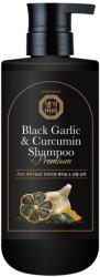 Daeng Gi Meo Ri Premium Black Garlic and Curcumin Shampoo