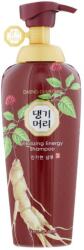 Daeng Gi Meo Ri Vitalizing Energy Shampoo, 500ml