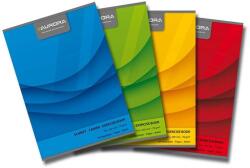 Aurora Caiet A4, 60 file - 70g/mp, liniat stanga, coperta carton color, AURORA Office - dictando (60LT) - officeclass