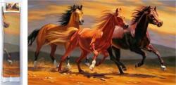 NORIMPEX - Puzzle Pictură cu diamant: Trei armăsari 80x40 cm - 1 - 39 piese