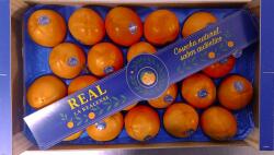  Farma z Rohoznice Kaki Közép-Spanyolország 1 db