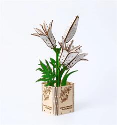 Multiversum 3D Puzzle Fa Lily 3D puzzle (LG666) - bestbyte