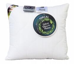 AMZ Antiallergén párna, AMZ, 70x80, 1000g, 100% pamut (2130053)