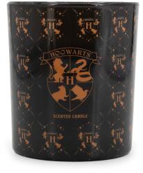 Fragrance and Style Harry Potter Roxfort, 135 g