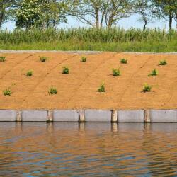  KÓKUSZHÁLÓ 1 X 50 M - 500 G/M2 - Erózióvédelem elleni természetes anyagból talajtakaró rézsűre - NATURE 1339005 - (1339005 - 1339005)