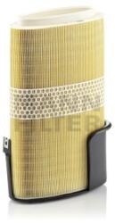Mann-Filter Filtru Aer C31002 pentru Porsche (C31002)