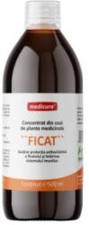 Pronat Medicura Concentrat din Plante Medicinale pentru Ficat Medicura, 500 ml (MC600)