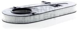 Mann-Filter Filtru Aer FAD54321 pentru BMW (FAD54321)