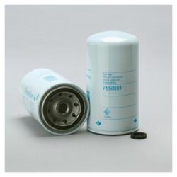 Hifi Filter Filtru combustibil Donaldson P550881 pentru Hifi Filter SN40529 (SN40529)