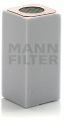 Mann-Filter Filtru Aer C80041 pentru Rietschle (C80041)