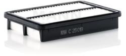 Mann-Filter Filtru Aer C25019 pentru Kia (C25019)