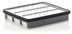 Mann-Filter Filtru Aer C2542 pentru Hyundai (C2542)