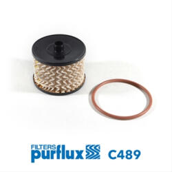 PURFLUX Filtru combustibil Purflux C489