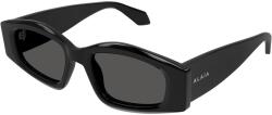 Alaïa AA0079S 001 (AA0079S 001) Слънчеви очила