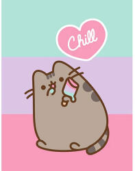 Halantex Pusheen cicás polár takaró 130x170 cm - Chill