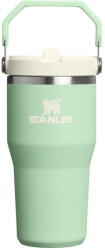 STANLEY Zsályaszínű rozsdamentes acél termosz 600 ml IceFlow Flip Straw 2.0 Tumbler Pistachio - Stanley
