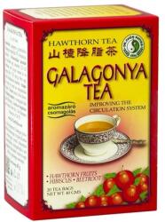 Dr. Chen Patika Galagonya tea DR CHEN 20 filter/doboz