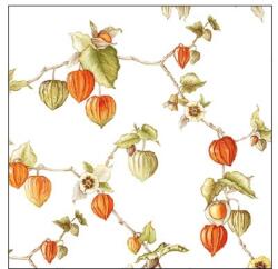 Ambiente Lampion papírszalvéta 25x25cm, 20db-os