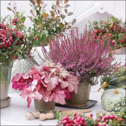 Ambiente Heather terrace papírszalvéta 33x33cm, 20db-os