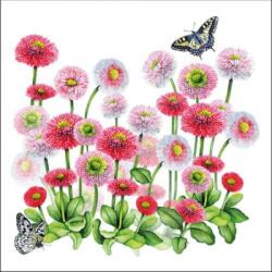 Ambiente Bellis papírszalvéta 33x33cm, 20db-os