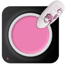 2M Beauty Gel color 2M Painting 07 5 g