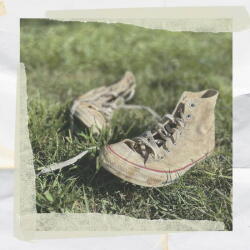 Hoge, Will Tenderhearted Boys